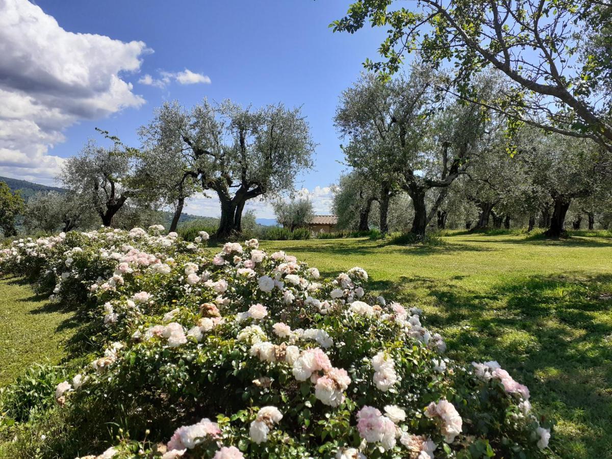 La Fornella Dell'Anita Villa Pelago ภายนอก รูปภาพ